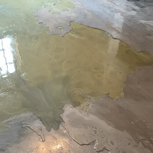 Dance Classes Mansfield